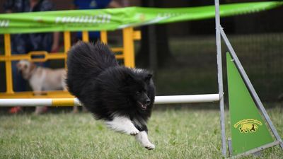 dsc_9830_preview.jpeg.jpg