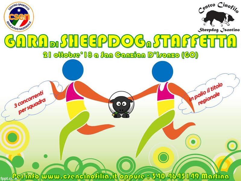 Gara di Sheepdog a Staffetta Csen