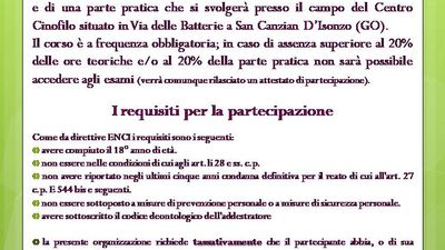 diapositiva2.jpg