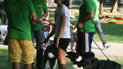 Esibizione all'AgostoRonchese 2011