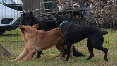 dsc_0190_cr.jpg