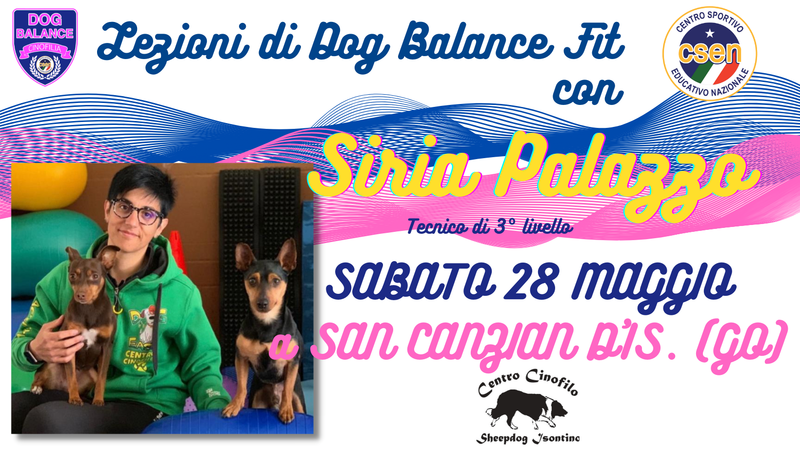 Lezioni di Dog Balance con Siria Palazzo